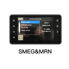 For Peugeot Citroen SMEG NAC Picasso C4 C5 DS3 DS4 DS5 Peugeot 308 508 208 3008 AERISAUTO for Apple CarPlay Module and  Android Auto